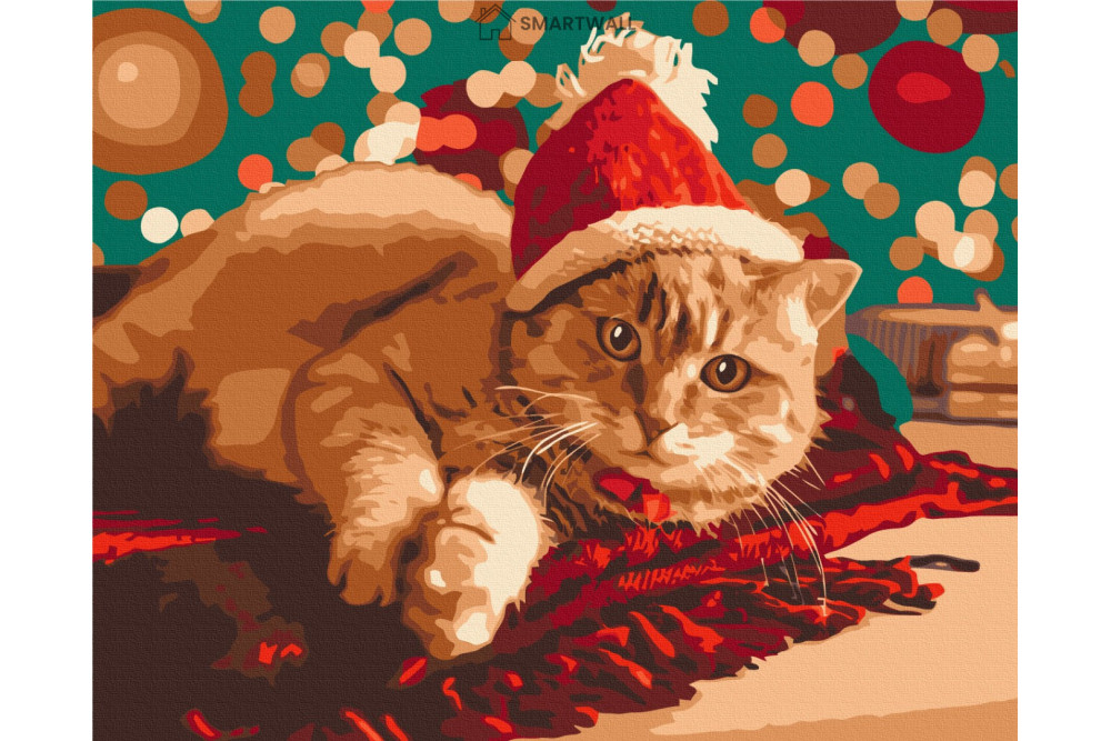 Mal efter tal - Santa cat - dyr