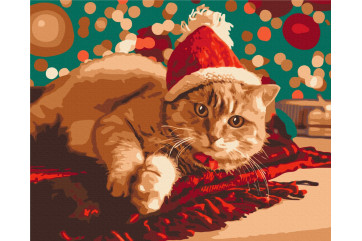 Mal efter tal - Santa cat - dyr