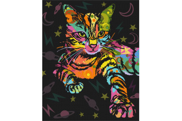 Mal efter tal - Space cat - dyr