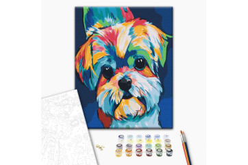  popart