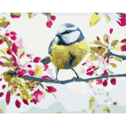 Mal efter tal - Spring tit - dyr