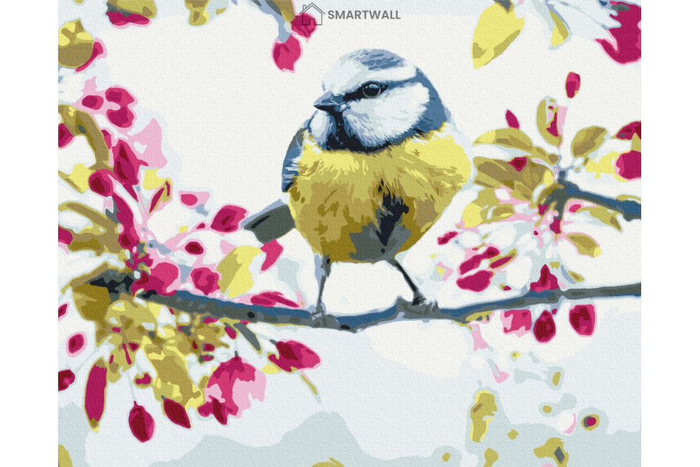 Mal efter tal - Spring tit - dyr