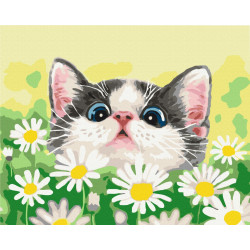 Mal efter tal - Cat in daisies - dyr