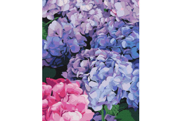 Mal efter tal - Bright hydrangea - blomster