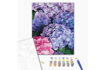Mal efter tal - Bright hydrangea