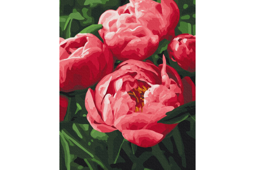 Mal efter tal - Saturated color of peonies - blomster