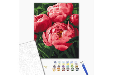 Mal efter tal - Saturated color of peonies