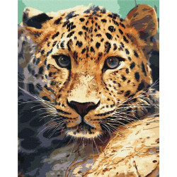 Mal efter tal - Leopard portrait - dyr