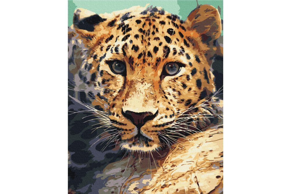 Mal efter tal - Leopard portrait - dyr
