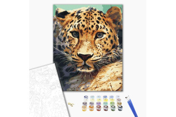 Mal efter tal - Leopard portrait
