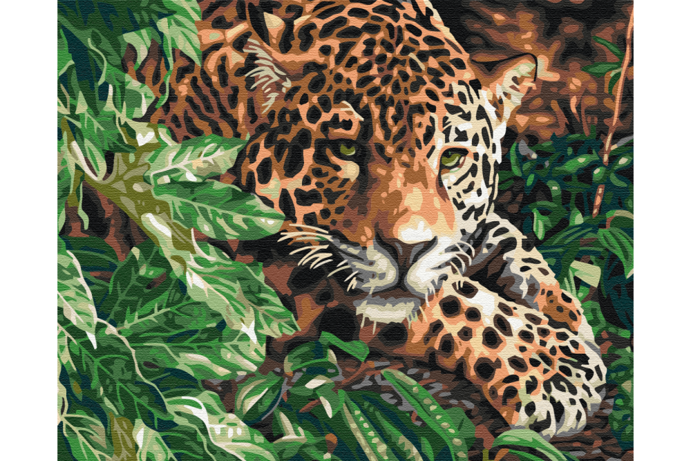 Mal efter tal - Leopard with emerald eyes - dyr