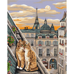 Mal efter tal - Cat tenderness in Paris - byer