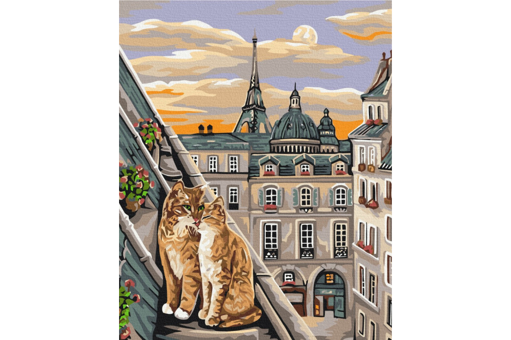 Mal efter tal - Cat tenderness in Paris - byer
