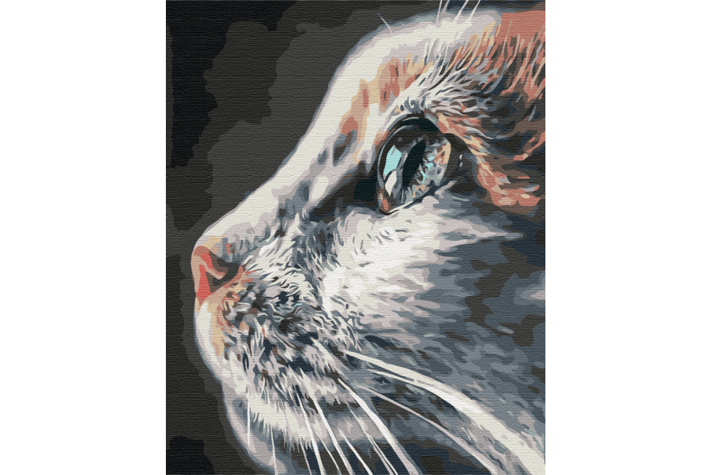 Mal efter tal - Cat Profile - dyr
