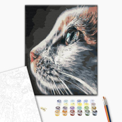 Mal efter tal - Cat Profile