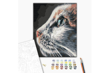Mal efter tal - Cat Profile