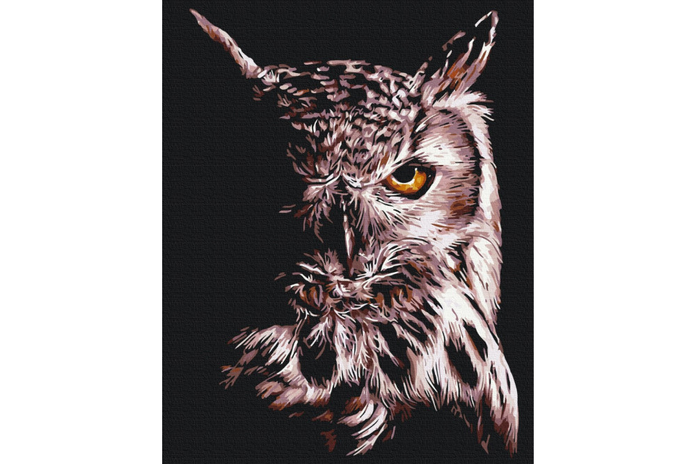 Mal efter tal - Owl - dyr