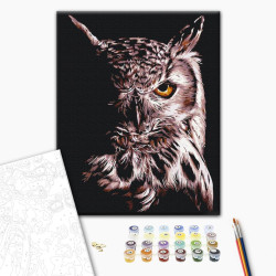 Mal efter tal - Owl