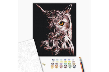Mal efter tal - Owl
