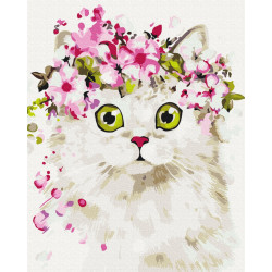 Mal efter tal - Surprised kitty - dyr