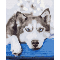 Mal efter tal - Husky in anticipation - dyr