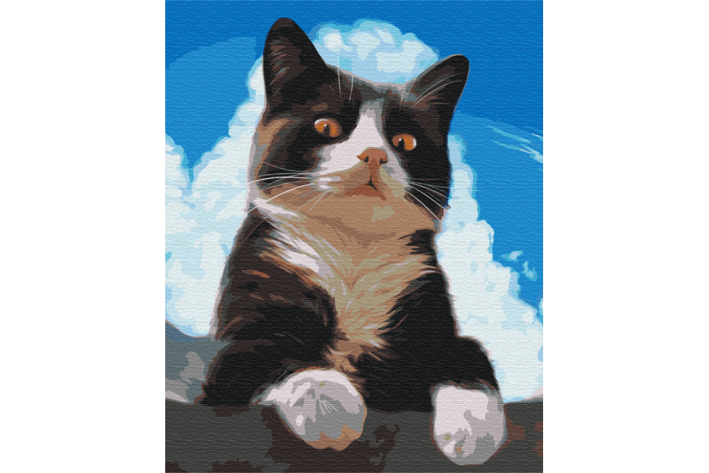 Mal efter tal - Inquisitive cat - dyr