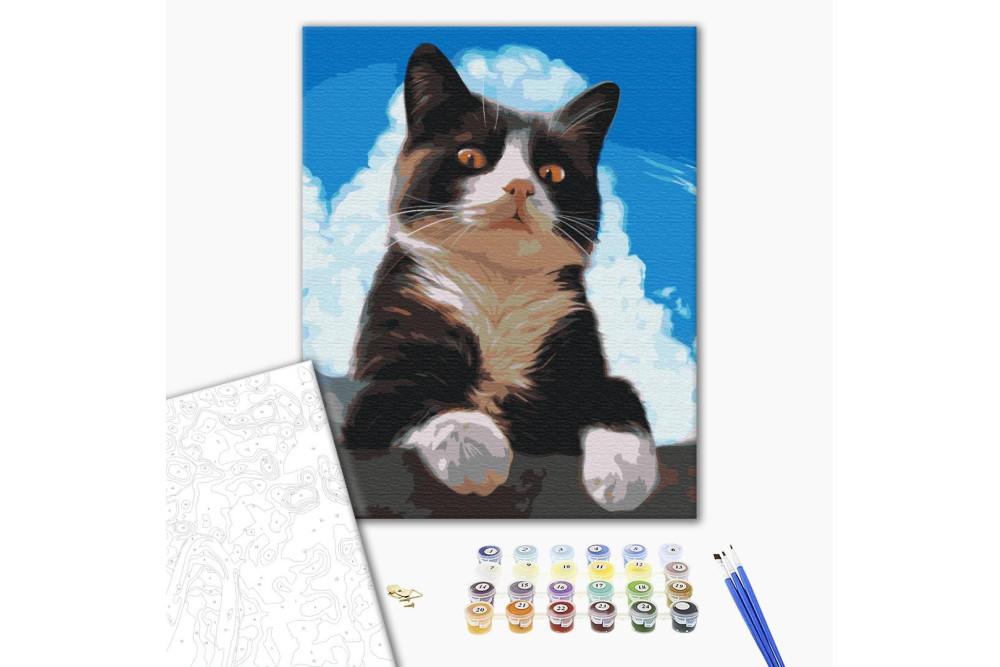 Mal efter tal - Inquisitive cat