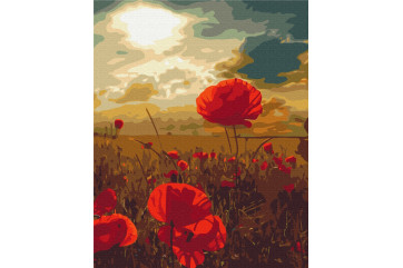 Mal efter tal - Poppies under the scorching sun - blomster