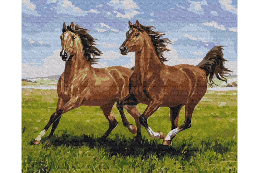 Mal efter tal - Horses on a run - dyr