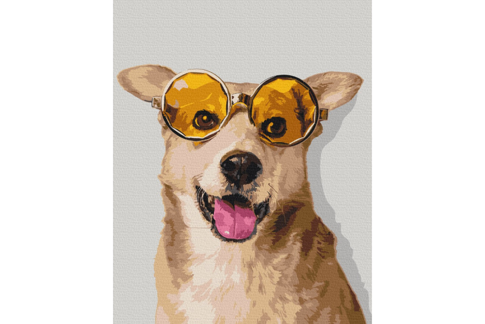 Mal efter tal - Corgi hipster - dyr