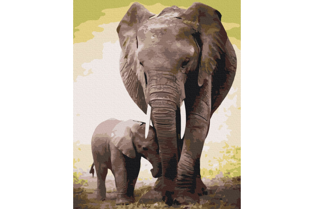 Mal efter tal - The first days of the elephant - dyr