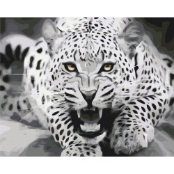 Mal efter tal - Predator on the move - dyr