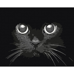 Mal efter tal - Night gaze - dyr