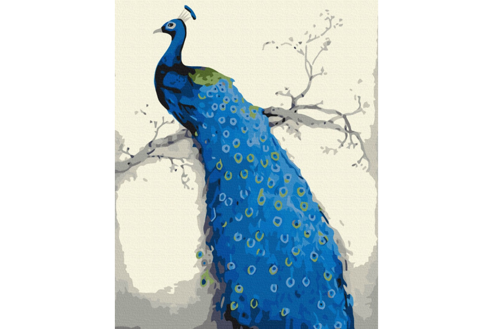 Mal efter tal - Blue peacock - dyr