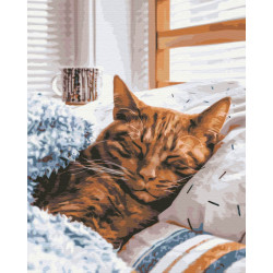 Mal efter tal - Morning cat - dyr