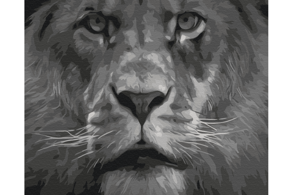 Mal efter tal - Lion in black and white tones - dyr