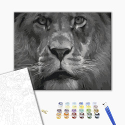 Mal efter tal - Lion in black and white tones