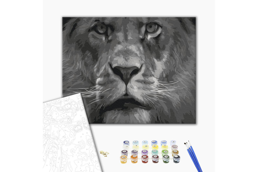 Mal efter tal - Lion in black and white tones
