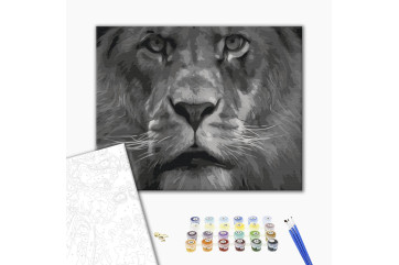 Mal efter tal - Lion in black and white tones
