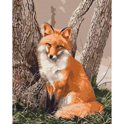 Mal efter tal - Forest chanterelle - dyr