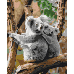 Mal efter tal - Koala family - dyr