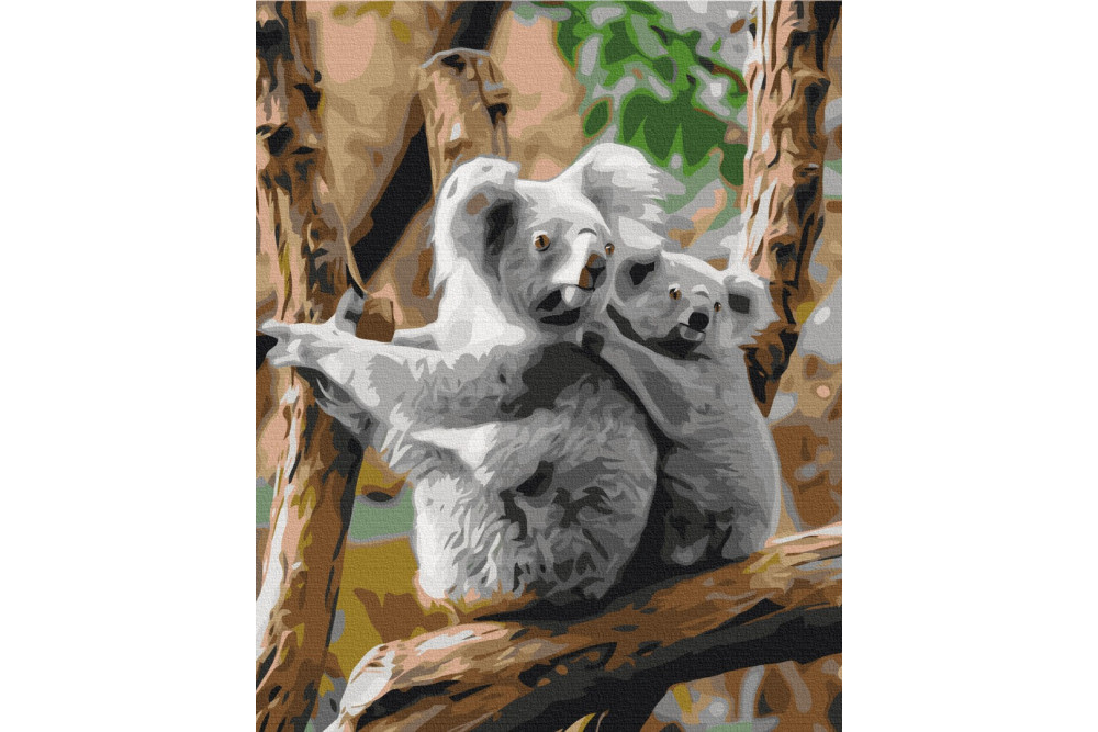 Mal efter tal - Koala family - dyr