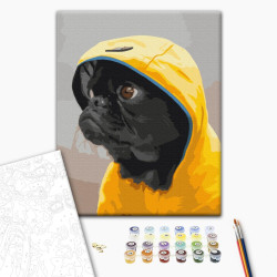 Mal efter tal - Pug in hood
