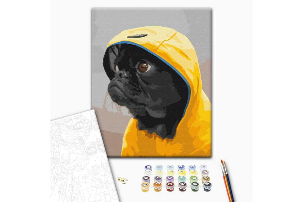 Mal efter tal - Pug in hood