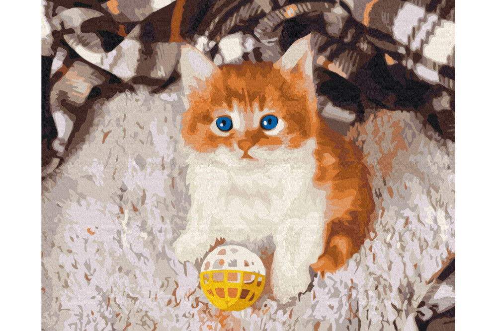Mal efter tal - Playful kitten - dyr