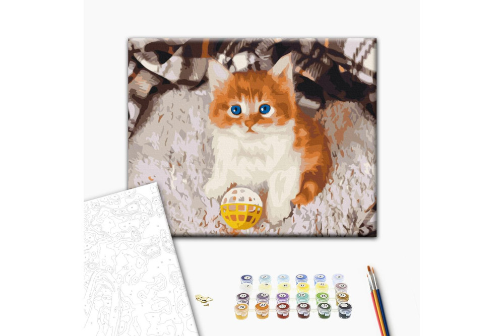 Mal efter tal - Playful kitten