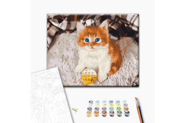 Mal efter tal - Playful kitten