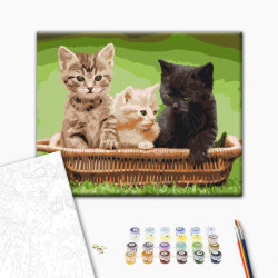 Mal efter tal - Kittens in a basket