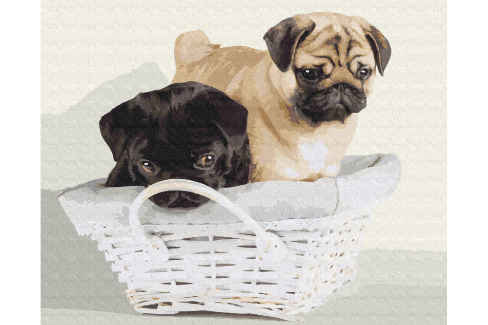 Mal efter tal - Friends in the basket - dyr