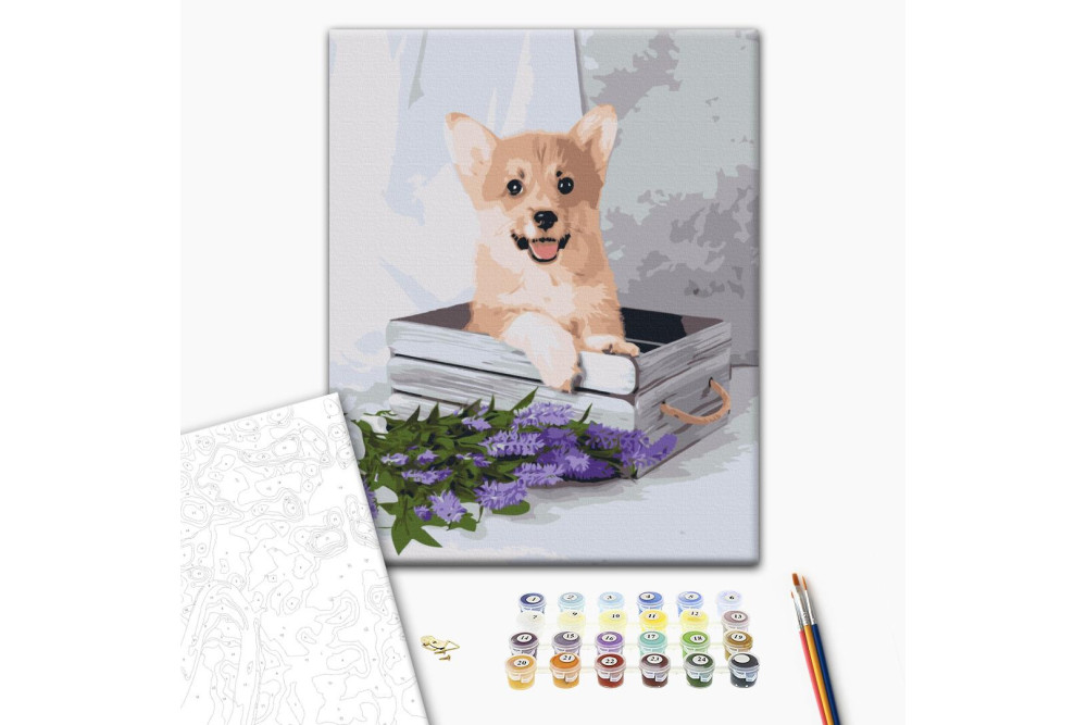 Mal efter tal - Playful corgi